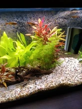 Magnetic-Brush Cleaner Scraper Fish-Aquarium-Tools Glass-Algae Fish-Tank