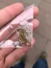 Изображение товара 5