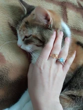 Modyle nuevo anillo de Color plata conjunto exquisito Bijoux moda cuadrado boda anillo de compromiso hecho con joyería de circonia cúbica