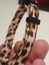 Collar de gato con cascabel Leopard, collarín duradero y seguro, ajustable, de seguridad, para cachorro de gato, 7,5-11 pulgadas