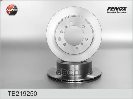 Диск Тормозной Задний Hyundai Terracan 01- Tb219250 FENOX арт. TB219250