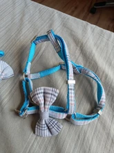 Leash-Collar-Set Pet-Harness Nylon Adjustable Small Walking Outdoor Medium Dog Lovely
