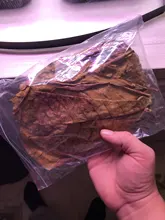 10 Uds Natural de alta calidad Terminalia Catappa hojas indio de Lour árbol hoja de oliva para agua de acuario equilibrio PH acidez