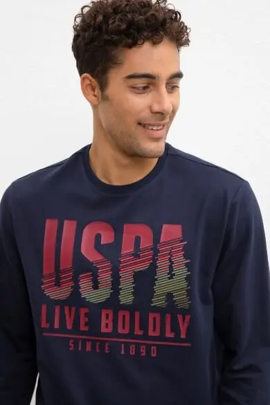 U.S. POLO ASSN. Обычная Толстовка
