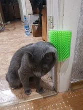 Cepillo de masaje de esquina para gatos, cepillo peine con hierba de gato, Rubs de la cara con peine de cosquillas, productos para mascotas