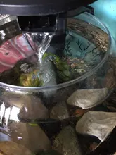 Decor-Plants Landscaping-Decor Tank Aquarium Plastic Resin Coral Fishing-Fis Sea-Iron-Tree