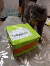 Dispenser-Container Fountain Cat-Bowl Water-Level-Display Electric-Water-Feeder Dogs