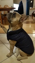 Abrigo de invierno para mascotas, ropa cálida para perros pequeños, abrigo de Navidad para perros grandes, chihuahua