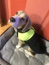 Coat Jacket Puppy-Vest Dogs Waterproof Winter Medium Pet-Dog Zipper Small Large Warm