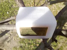 Mascarilla de colágeno para ojos, hidratante de Gel dorado, parches para ojos, antienvejecimiento, antihinchazón, parche para el cuidado de la piel, 60 uds.