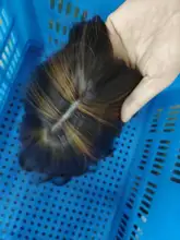 ALAN EATON-Peluca de cabello sintético para mujer afroamericana, cabellera artificial largo ondulado con flequillo, color negro, marrón y dorado, resistente al calor