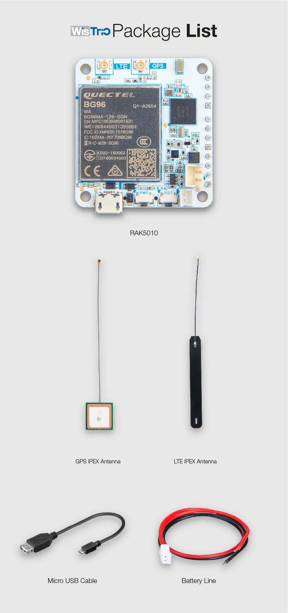 Asset 48-100
