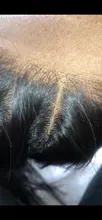 Alisky-extensiones de pelo brasileñas con encaje hd, accesorio capilar liso con cierre Frontal de malla, 4x4