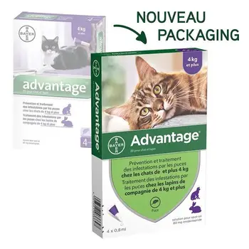 

ADVANTAGE 80 - 6 pipettes-worming-For cats and rabbits 4 kg and more