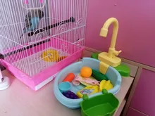 Pool Fountains Bath-Tub Birds Toy Sink Pet-Parrots Play Kitchen House Multipur with Faucet