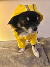 S-XL de ropa para perros chubasqueros con capucha, tira reflectante, abrigo de lluvia para perros, chaquetas impermeables, ropa transpirable para exteriores para cachorros