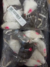 False-Mouse Simulation-Mice Noise-Playing-Toys Rabbit-Fur Kitten For Cats Pet-Supplies