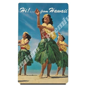 

Hawaii souvenir magnet vintage poster