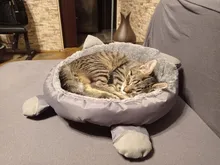 Bed-House Lounger Cats-Basket Plush-Beds Gato Warm Winter For Cat Pet-Cat Mat Panier