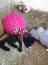 Pet Cat Reindeer Sweater Winter Warm Cat Clothes for Cats Kedi Outfit katten Clothing