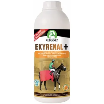 

EKYRENAL PLUS AUDEVARD