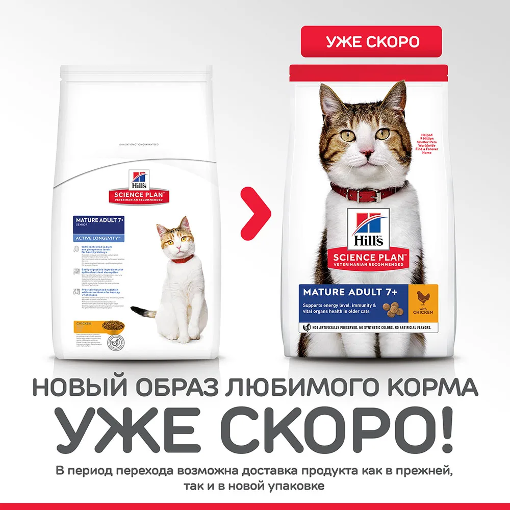 Hill's Science Plan Active Longevity сухой корм для кошек старше 7 лет с курицей 300 г
