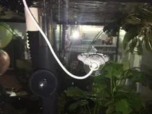 Chihiros-herramienta de eliminación de algas Doctor para acuario, accesorios para plantas, camarones, peces, Limpieza de tanques, 3/4