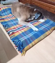 Big Dog Couch Sofa-Beds Kennel Cushion German Shepherd Large Puppy Pet-Cat-Dog Small