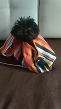 Carrier-Bag Travel Sling Single-Shoulder-Bag Dog Kittens Outdoor Striped Pet-Cat Adjustable