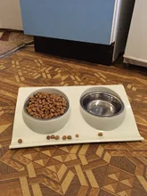 Dog-Bowl Pet-Feeding-Station Food-Water-Bowls-Feeder Puppy-Cats Stainless-Steel Double