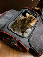 Pet-Carrier Expandable Kennel Airline-Approved Soft Crate Travel Two-Side Luggage on