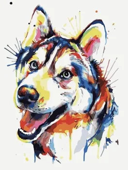 

Painting by Numbers Premium: Colorful puppy