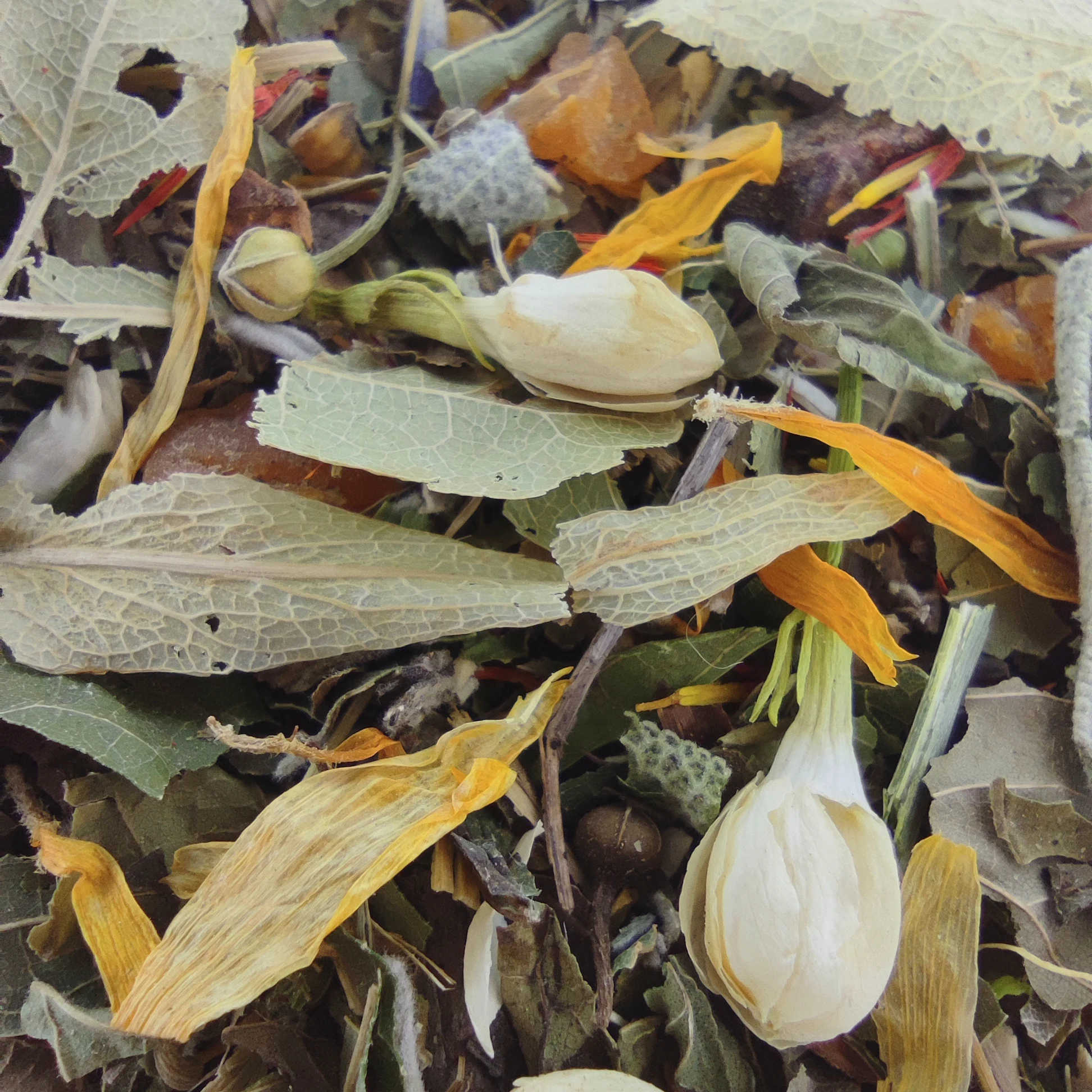 Herbal tea 