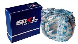 

BEARING SKL 6204ZZ
