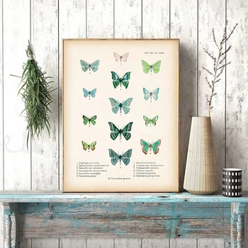 

Green Butterflies Print Antique Butterfly Poster Vintage Entomology Scientific Chart Educational Wall Art Canvas Painting Decor