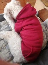 Ropa de abrigo para perros pequeños, abrigo para perros, ropa para cachorros, sudaderas con capucha para perros grandes, Chihuahua, novedad
