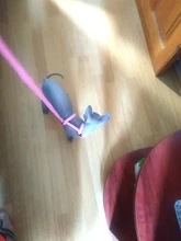 Pet Cat Collar Harness And Leash Adjustable Nylon Pet Traction Dog Kitten Halter Collar