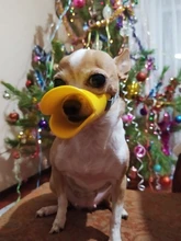 Bozal de silicona para perros, máscara bozal antimordida para perros pequeños y grandes, boquillas para la boca, accesorios de mascota perro