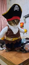 Funny Cat Costumes Pirate Suit Cat Clothes Kitty Kitten Corsair Halloween Costume Puppy