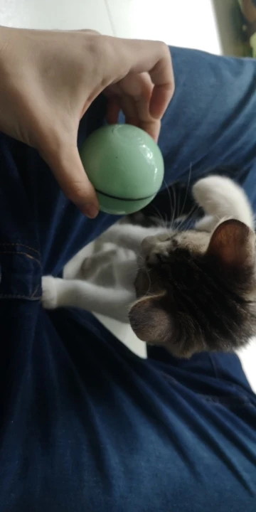 Smart Interactive Pet Ball USB Rechargeable Toy photo review