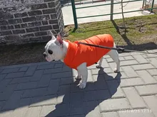 Abrigo de invierno para mascotas, ropa cálida para perros pequeños, abrigo de Navidad para perros grandes, chihuahua