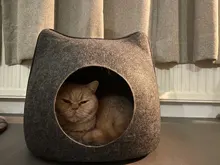Cat-Bed Cushion Cats-Basket-Bags Nest Pet-Supplies Cave-Sleeping-Bag Zipper for Felt-Cloth