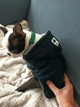 Winter Warm Pet Dog Clothes Hooded Thick Cotton Cat Puppy Dogs Coat Jackets S-XXL