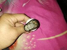 Nxuointr-luces intermitentes LED para motocicleta, Bombilla de luces intermitentes para Yamaha YZF R1 R6 R6S R3 R6S FZ1 FZ6 FZ8 FAZER