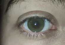 Lentillas de colores para ojos, 1 par de lentillas de Color marrón, verde y gris, sin prescripción