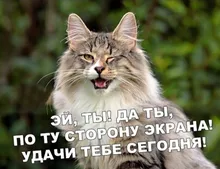 Nozzle Shower-Head Bathroom-Accessories Rainfall Chrome Pressurized Water-Saving ABS