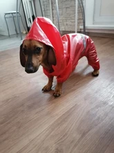 Waterproof Raincoat Jacket Jumpsuit Pet-Dog Small Dog Reflective Outdoor for Pet-Supplies