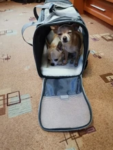 Dog-Carrier-Bags Airline Pet-Cat-Dog-Backpack Portable Cats Small Dog for Approved