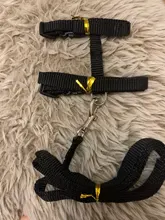 Arnés y correa para cachorros y gatitos, cinturón de tracción ajustable para animales, cuello Halter para gatos y gatitos, sin cartón