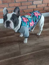 Jacket Costume Coat Bulldog-Clothes Small Dog Pug French Winter Pet-Dog Warm Cute 